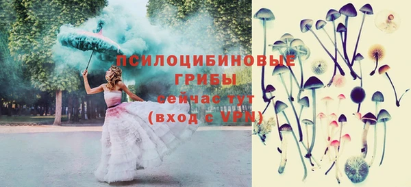шишки Россошь