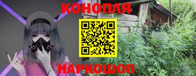 крисы Бийск