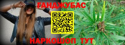 прущие грибы Гусев