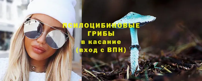 omg зеркало  Унеча  Псилоцибиновые грибы Magic Shrooms 