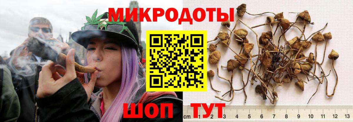 Псилоцибиновые грибы Psilocybe  Псилоцибиновые грибы MAGIC MUSHROOMS  Унеча  Вход с VPN 