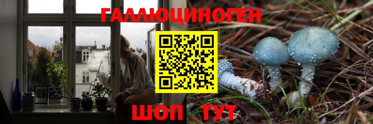 Галлюциногенные грибы мицелий  Унеча  Псилоцибиновые грибы Magic Shrooms 